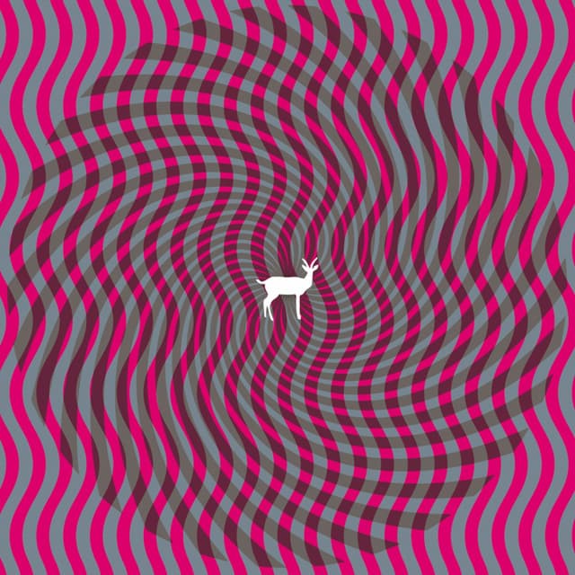 Cryptograms - Deerhunter