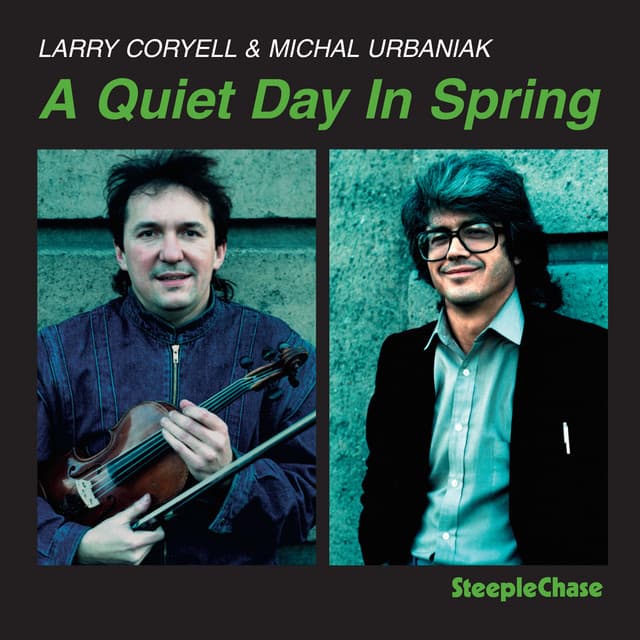 A Quiet Day in Spring - Larry Coryell