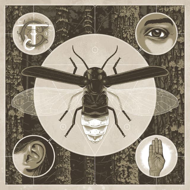 Brighten - Jerry Cantrell