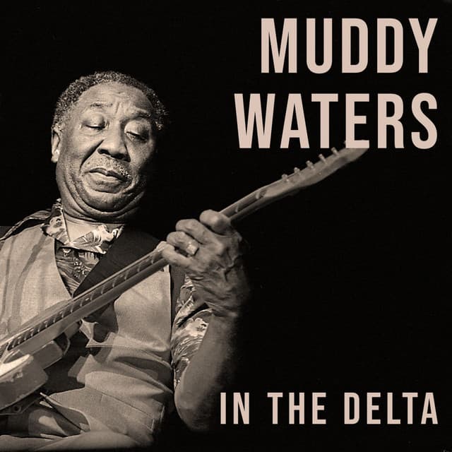 IN THE DELTA - Muddy Waters