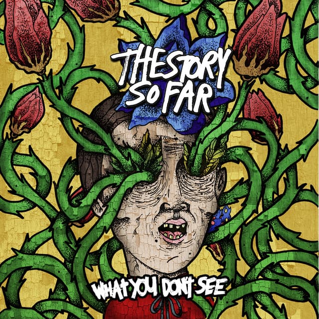 What You Don't See - The Story So Far