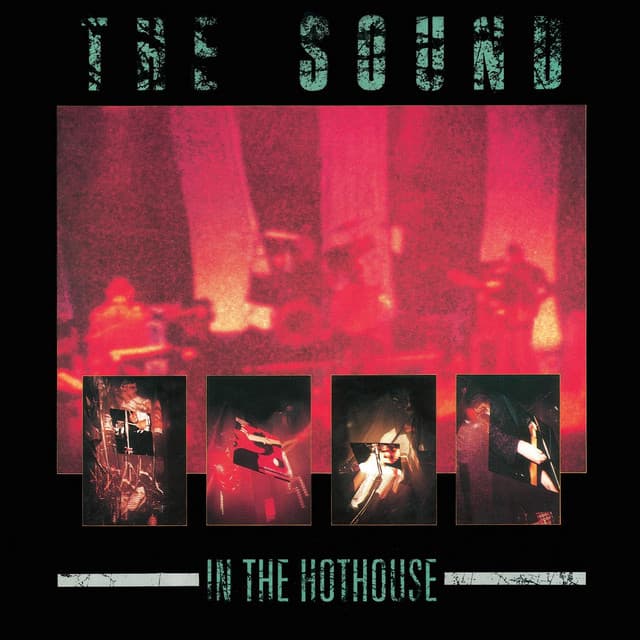 In the Hothouse - The Sound
