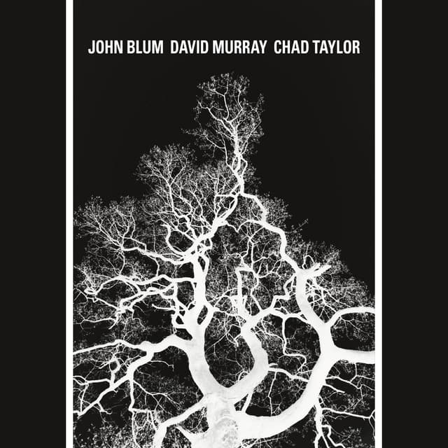 The Recursive Tree - John Blum