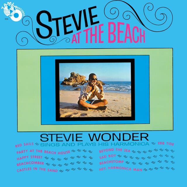 Stevie At The Beach - Stevie Wonder