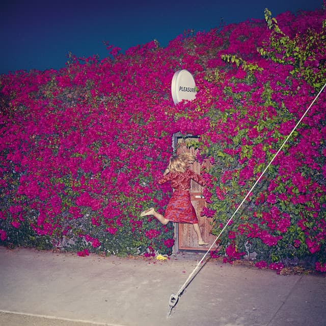 Pleasure - Feist