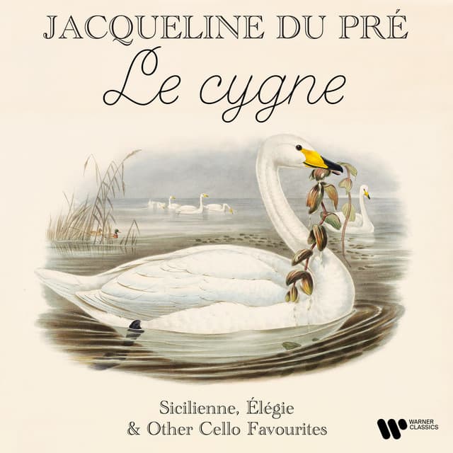 "Le cygne / The Swan" - Sicilienne, Élégie & Other Cello Favourites - Jacqueline du Pré