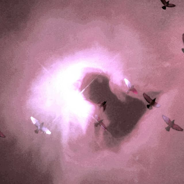 Smooth Night - Hampton Hawes