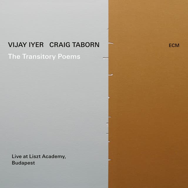 The Transitory Poems - Vijay Iyer