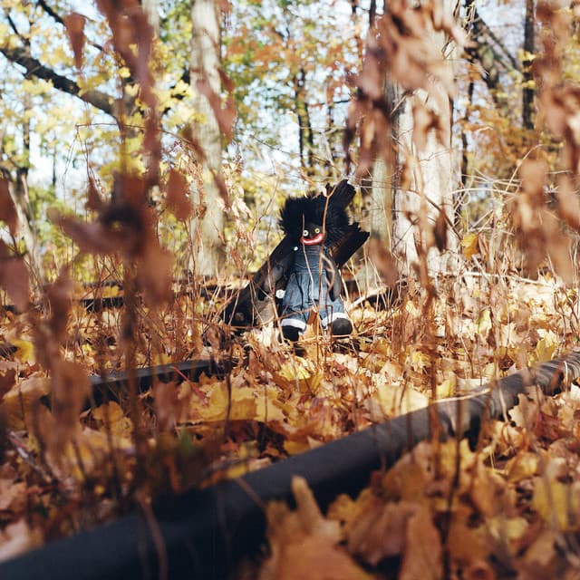 GOLLIWOG - billy woods