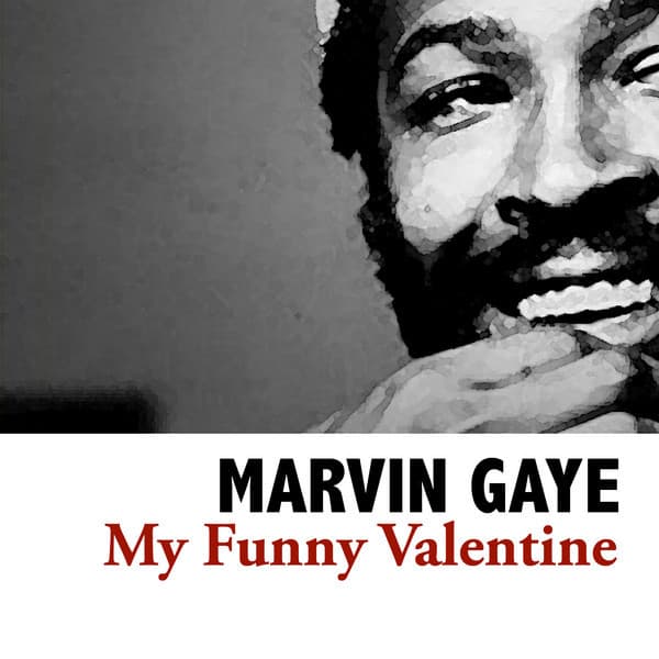 My Funny Valentine - Marvin Gaye