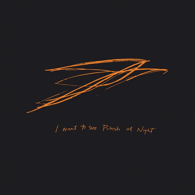 I Want to See Pulaski at Night - Andrew Bird