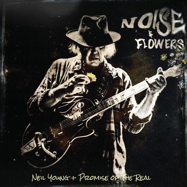 Noise and Flowers - Neil Young