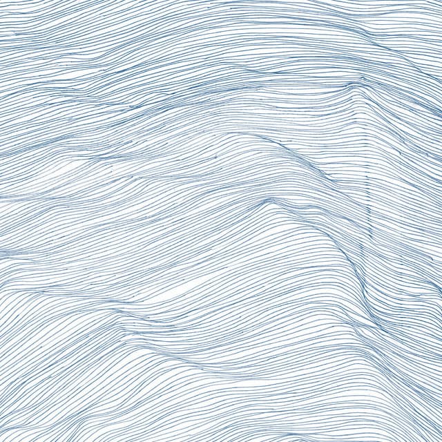 Two Centuries - Qasim Naqvi