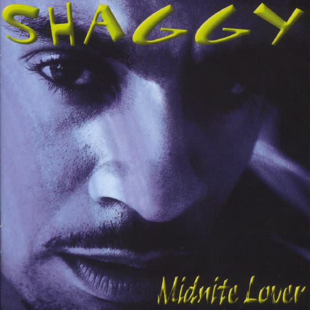 Midnite Lover - Shaggy