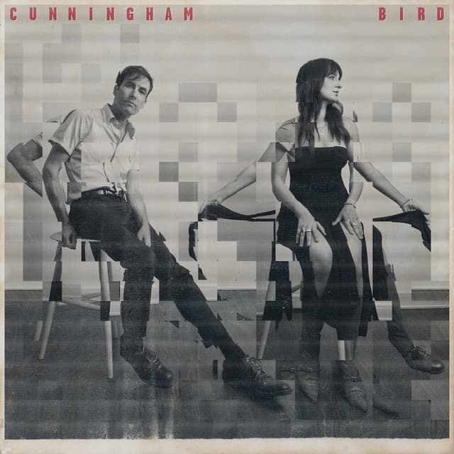Cunningham Bird - Andrew Bird