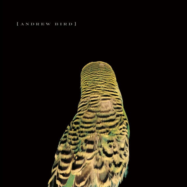 Armchair Apocrypha - Andrew Bird