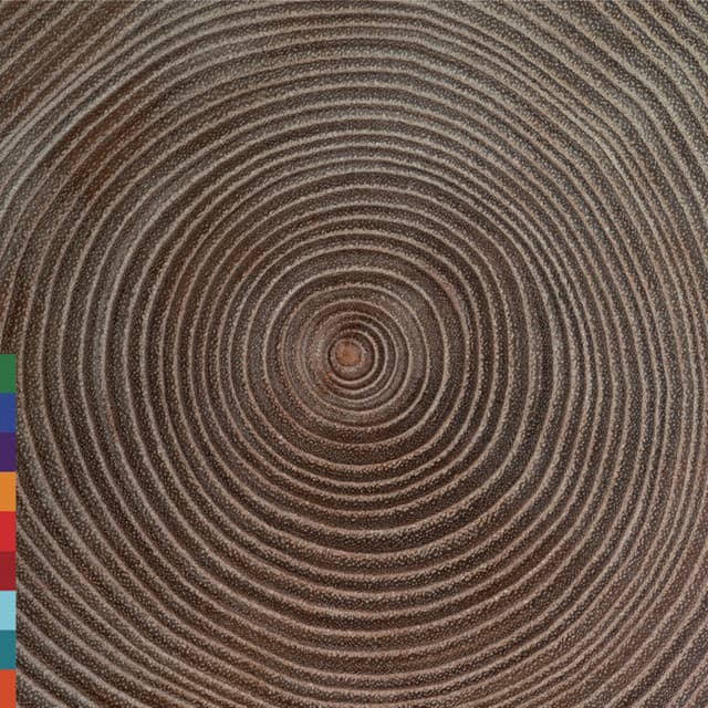 Moksha - Amjad Ali Khan